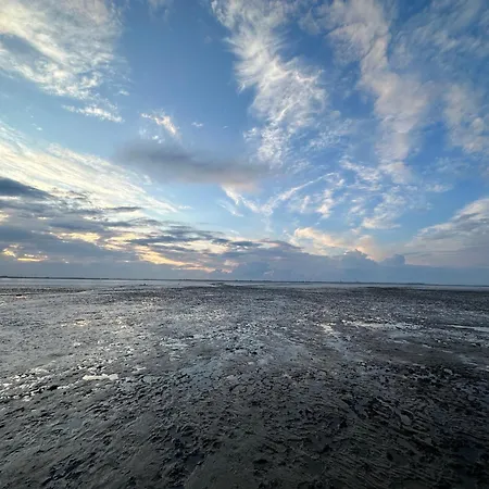 Fewo Frieda'S Platz Am Meer Dangast Extérieur photo